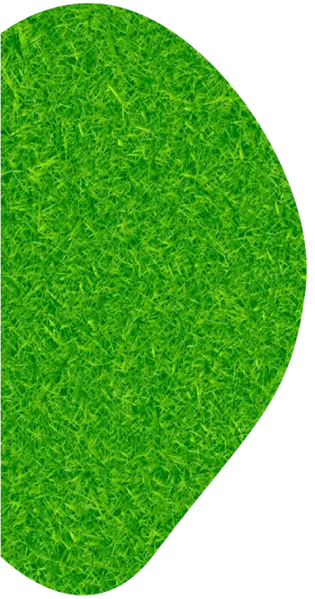 Oval