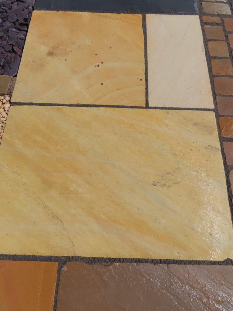 Fossil Mint Indian Sandstone Fossil Mint Indian Sandstone