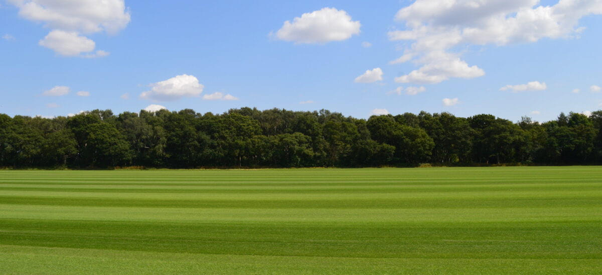Field