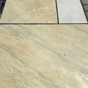 Fossil Mint Indian Sandstone Fossil Mint Indian Sandstone