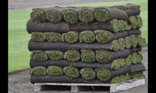 rolls of turf