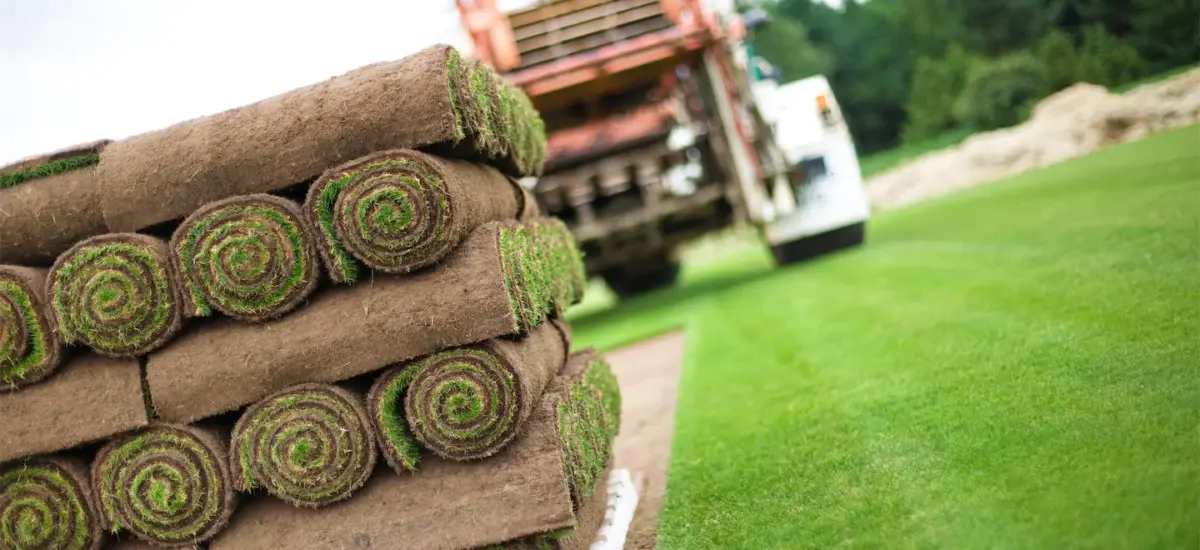 Turf rolls