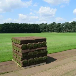 Stack of turf