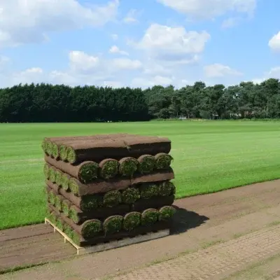 Stack of turf