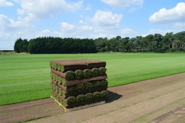 Turf Stacking Shop Our Range Of Turf | Delivery or Collection | Elliott's Turf