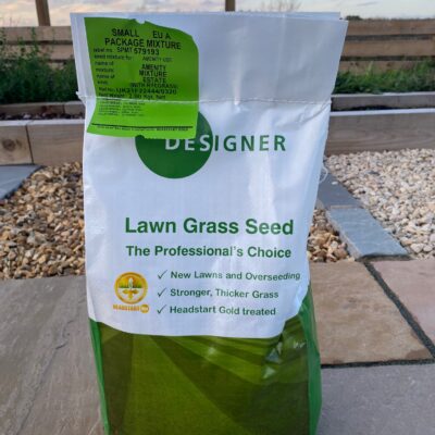 Seed Seed